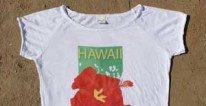 hawaii-mini-2